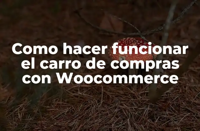 Como Hacer Funcionar el Carro de Compras con Woocommerce