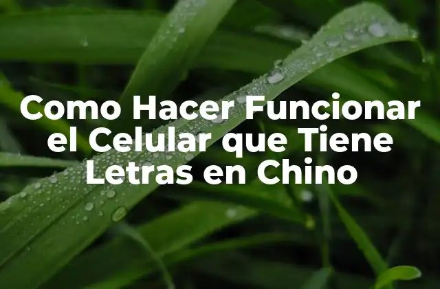 Como Hacer Funcionar el Celular que Tiene Letras en Chino