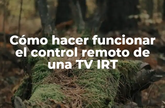 Cómo Hacer Funcionar el Control Remoto de una Tv Irt