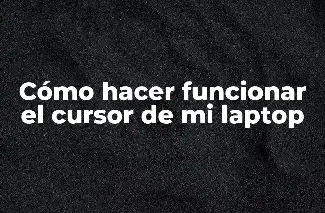 Cómo Hacer Funcionar el Cursor de Mi Laptop