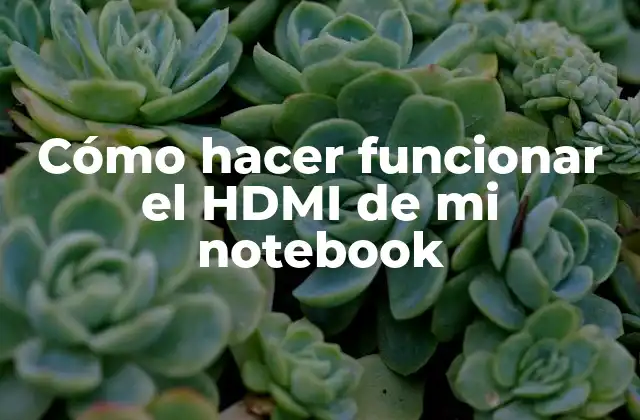 Cómo Hacer Funcionar el Hdmi de Mi Notebook