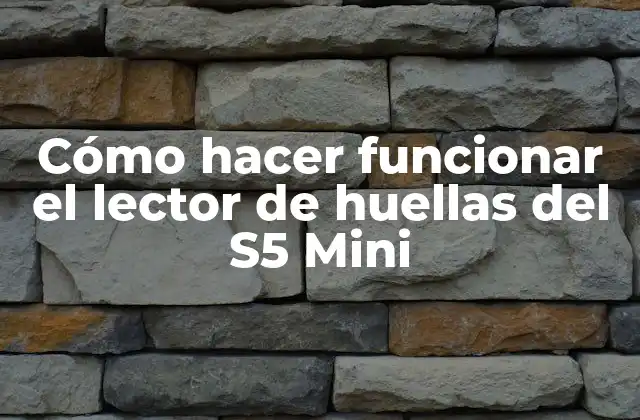 Cómo Hacer Funcionar el Lector de Huellas Del S5 Mini