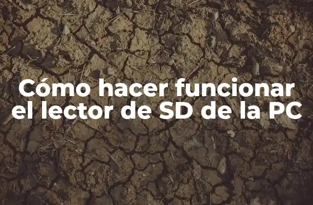 Cómo Hacer Funcionar el Lector de Sd de la Pc