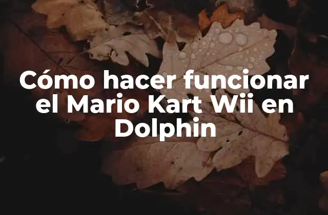 Cómo Hacer Funcionar el Mario Kart Wii en Dolphin