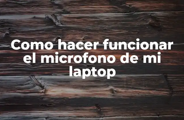 Como hacer funcionar el microfono de mi laptop