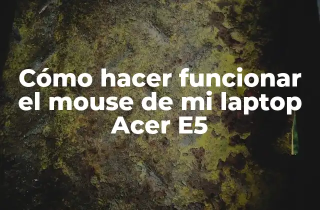 Cómo Hacer Funcionar el Mouse de Mi Laptop Acer E5