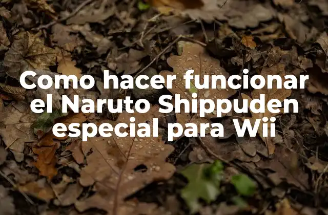 Como Hacer Funcionar el Naruto Shippuden Especial para Wii