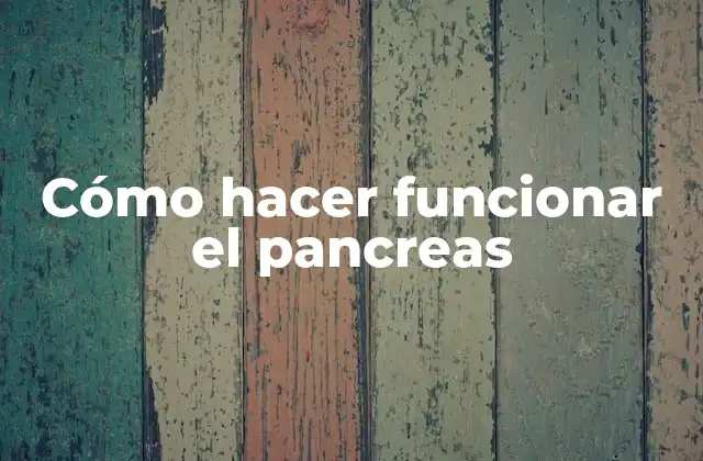 Cómo Hacer Funcionar el Pancreas