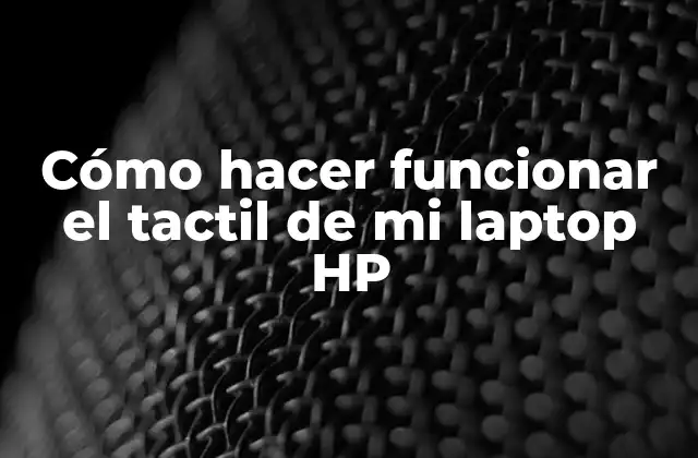 Cómo Hacer Funcionar el Tactil de Mi Laptop Hp