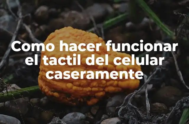 Como Hacer Funcionar el Tactil Del Celular Caseramente