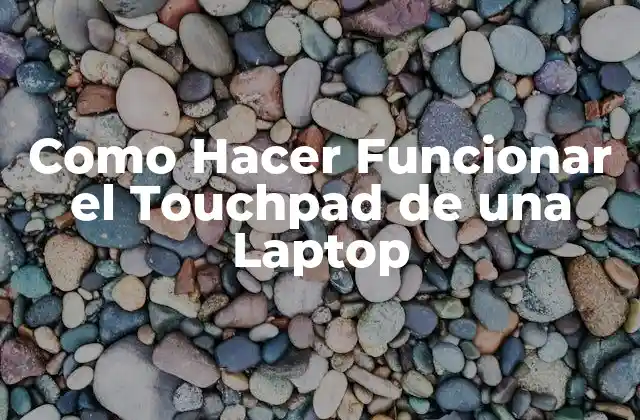 Como Hacer Funcionar el Touchpad de una Laptop