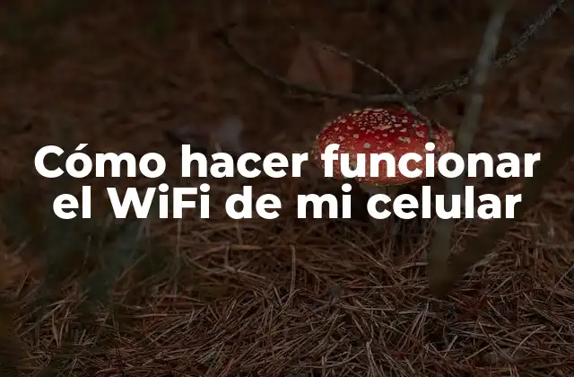 Cómo Hacer Funcionar el Wifi de Mi Celular
