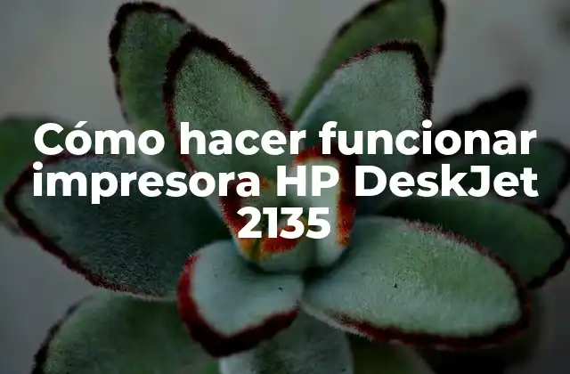 Cómo Hacer Funcionar Impresora Hp Deskjet 2135 2 Cómo hacer funcionar impresora HP DeskJet 2135