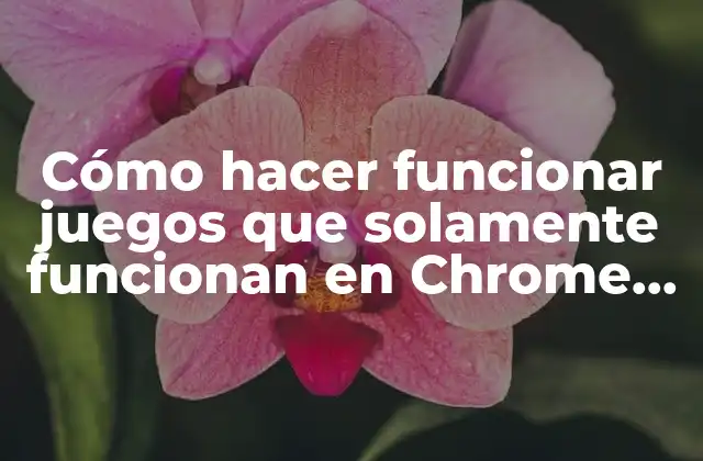¿Qué son los juegos exclusivos de Chrome Firefox?