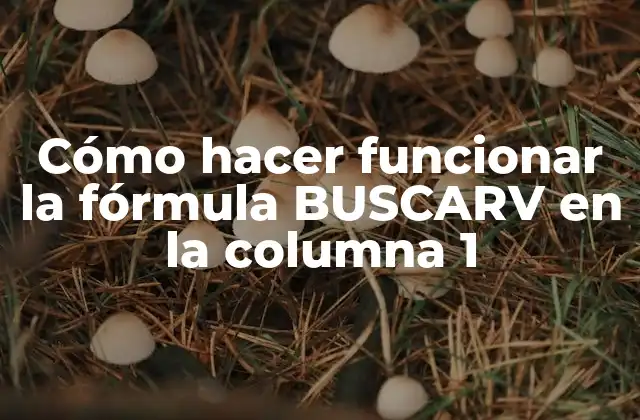Cómo Hacer Funcionar la Fórmula Buscarv en la Columna 1 2 ¿Qué es la fórmula BUSCARV y para qué sirve?