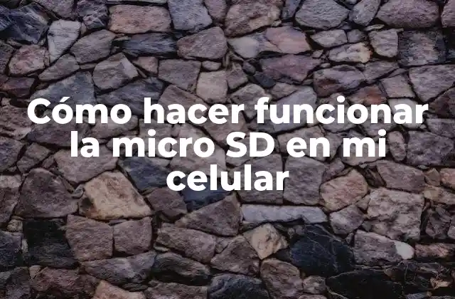 Cómo Hacer Funcionar la Micro Sd en Mi Celular 2 Cómo hacer funcionar la micro SD en mi celular