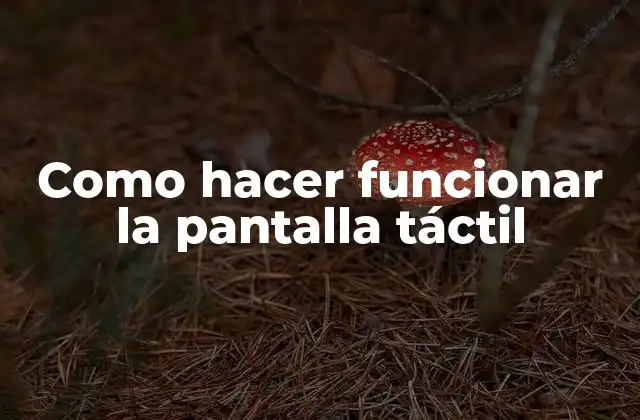 Como hacer funcionar la pantalla táctil