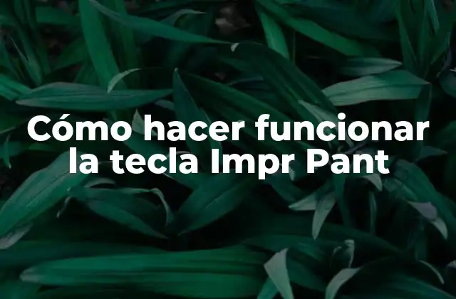 Cómo Hacer Funcionar la Tecla Impr Pant