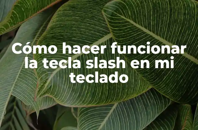 Cómo Hacer Funcionar la Tecla Slash en Mi Teclado