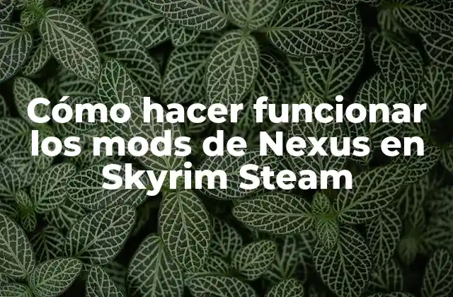 Cómo Hacer Funcionar los Mods de Nexus en Skyrim Steam