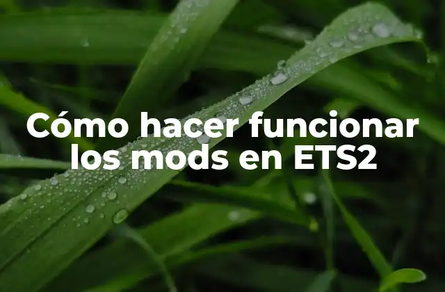 Cómo Hacer Funcionar los Mods en Ets2