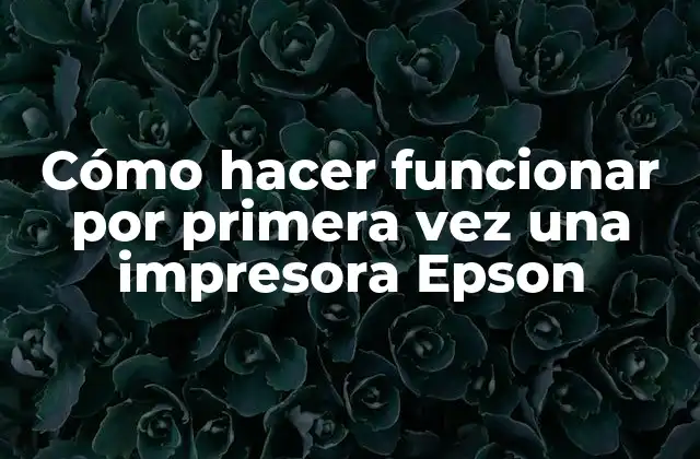 Cómo Hacer Funcionar por Primera Vez una Impresora Epson