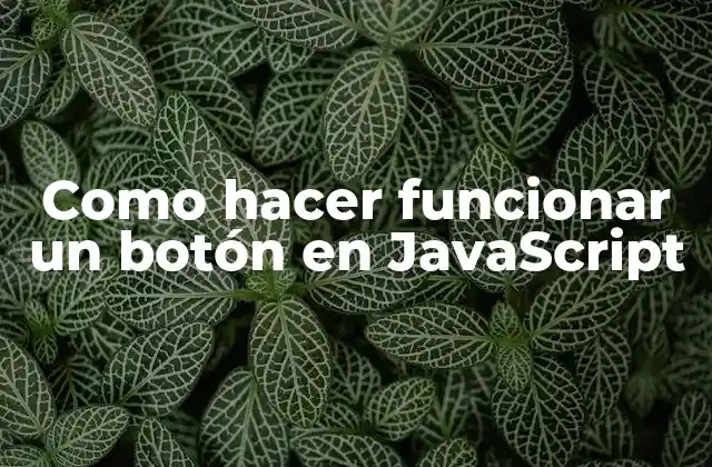 Como Hacer Funcionar un Botón en Javascript