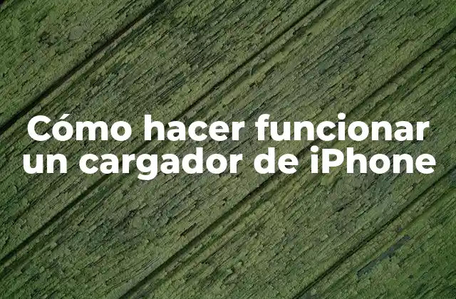Cómo hacer funcionar un cargador de iPhone