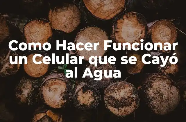 Como Hacer Funcionar un Celular que Se Cayó Al Agua