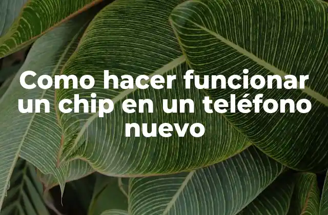 Como Hacer Funcionar un Chip en un Teléfono Nuevo