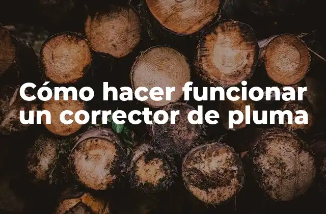 Cómo hacer funcionar un corrector de pluma