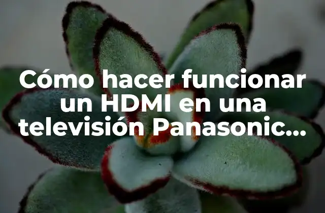 Cómo Hacer Funcionar un Hdmi en una Televisión Panasonic Viera