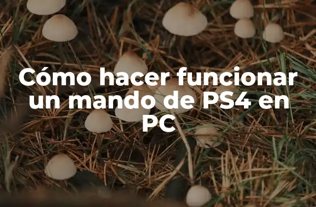 ¿Qué es el mando de PS4 y cómo funciona en un PC?