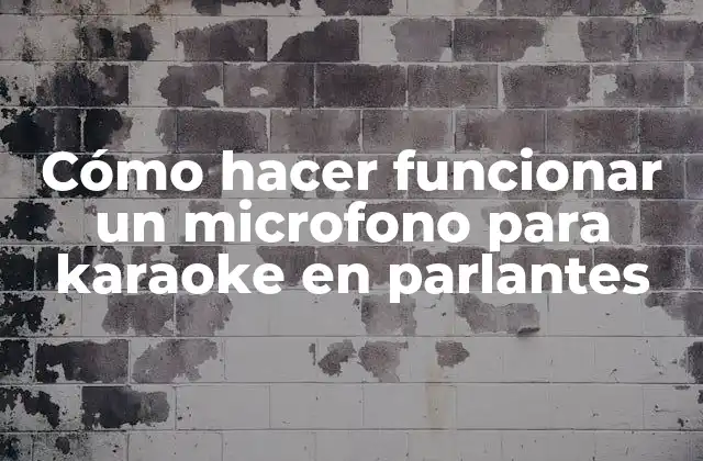 Cómo Hacer Funcionar un Microfono para Karaoke en Parlantes