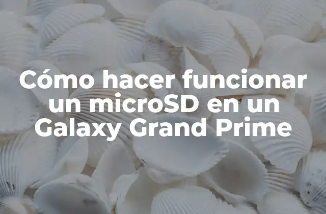 Cómo Hacer Funcionar un Microsd en un Galaxy Grand Prime