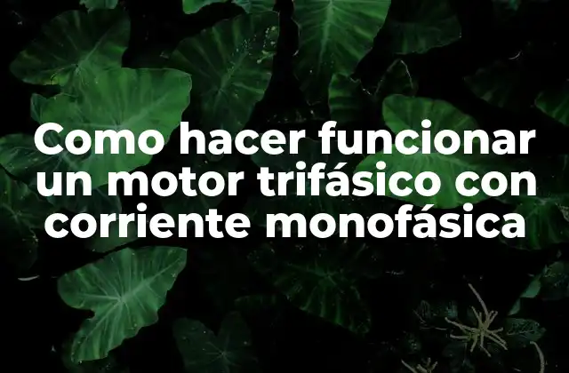 Como Hacer Funcionar un Motor Trifásico con Corriente Monofásica