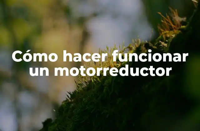 Cómo Hacer Funcionar un Motorreductor