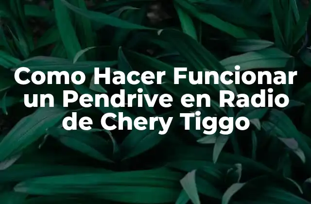 Como Hacer Funcionar un Pendrive en Radio de Chery Tiggo