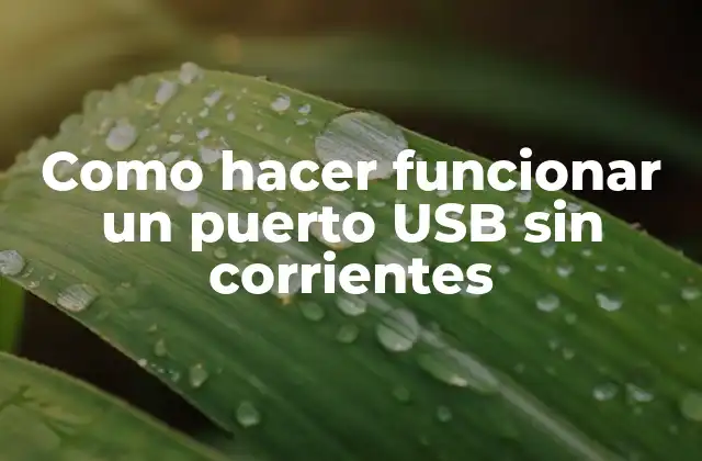 Como Hacer Funcionar un Puerto Usb sin Corrientes 2 ¿Qué es un puerto USB sin corrientes?