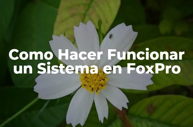 Como Hacer Funcionar un Sistema en Foxpro