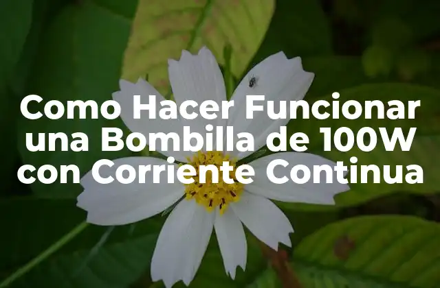 Como Hacer Funcionar una Bombilla de 100w con Corriente Continua 2 Qué es una Bombilla de 100W con Corriente Continua y para qué Sirve