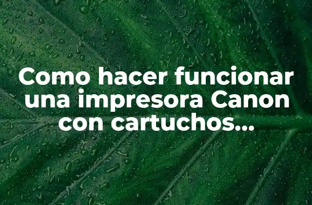Como Hacer Funcionar una Impresora Canon con Cartuchos Recargados