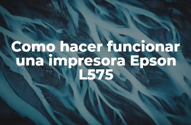 Como Hacer Funcionar una Impresora Epson L575