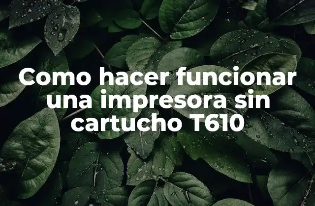 ¿Qué es el cartucho T610 y cómo se utiliza en impresoras?