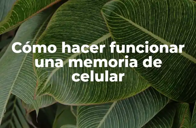Cómo Hacer Funcionar una Memoria de Celular