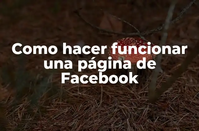 Como Hacer Funcionar una Página de Facebook