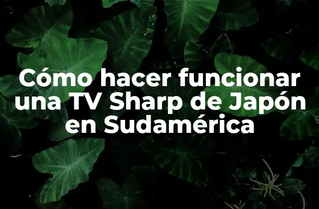 Cómo Hacer Funcionar una Tv Sharp de Japón en Sudamérica 2 Cómo hacer funcionar una TV Sharp de Japón en Sudamérica