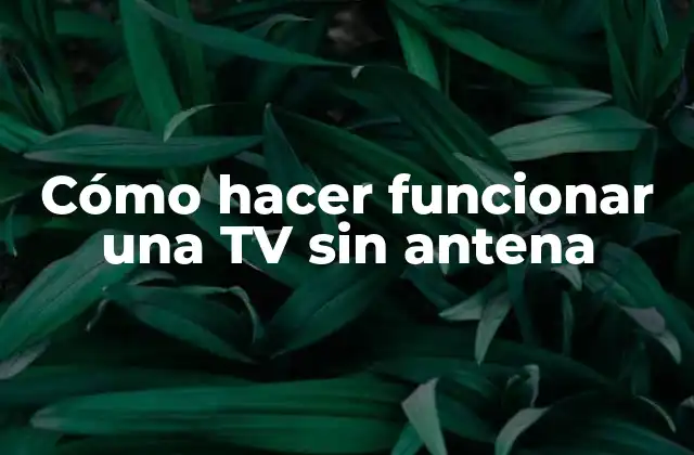 Cómo Hacer Funcionar una Tv sin Antena