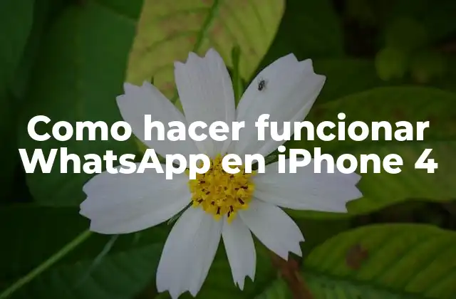 Como Hacer Funcionar Whatsapp en Iphone 4