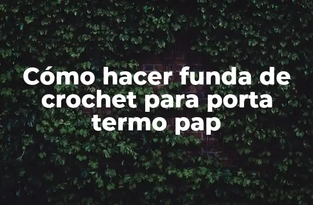 Cómo Hacer Funda de Crochet para Porta Termo Pap